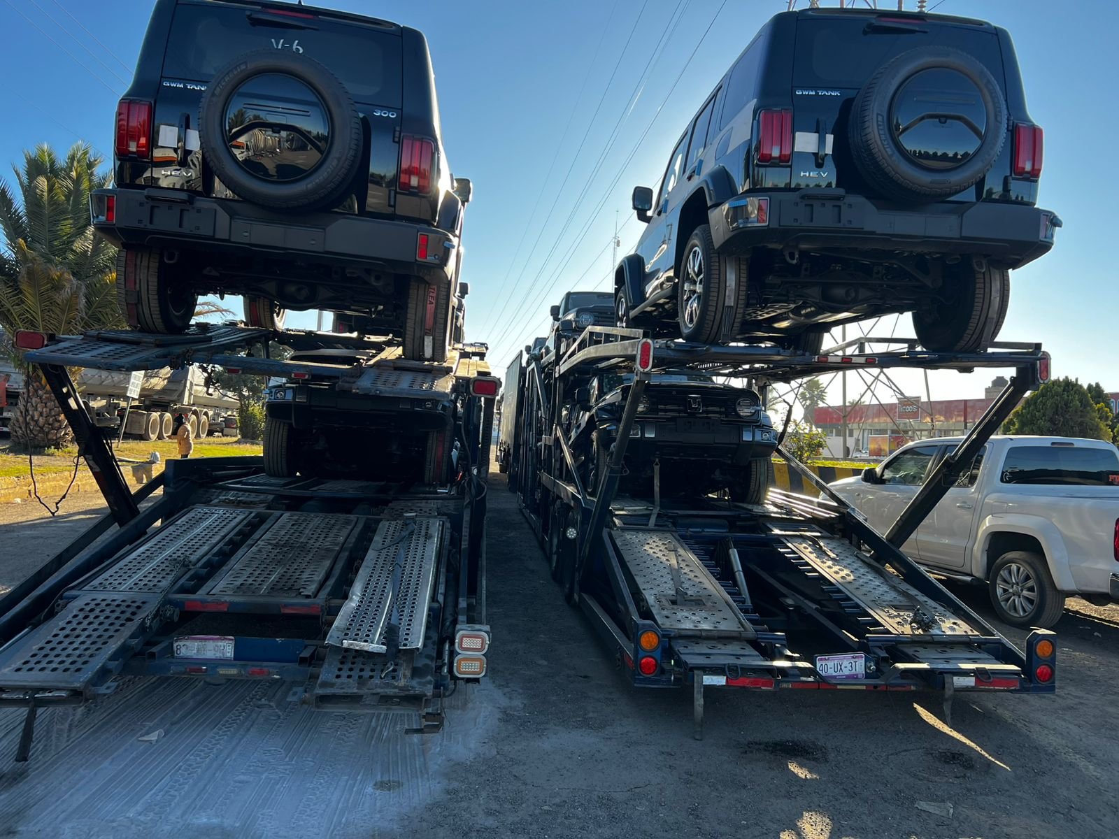 GWM Tank 300 en jaula doble